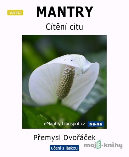 MANTRY Cítění citu - Přemysl Dvořáček MANTRY Cítění citu - Přemysl Dvořáček