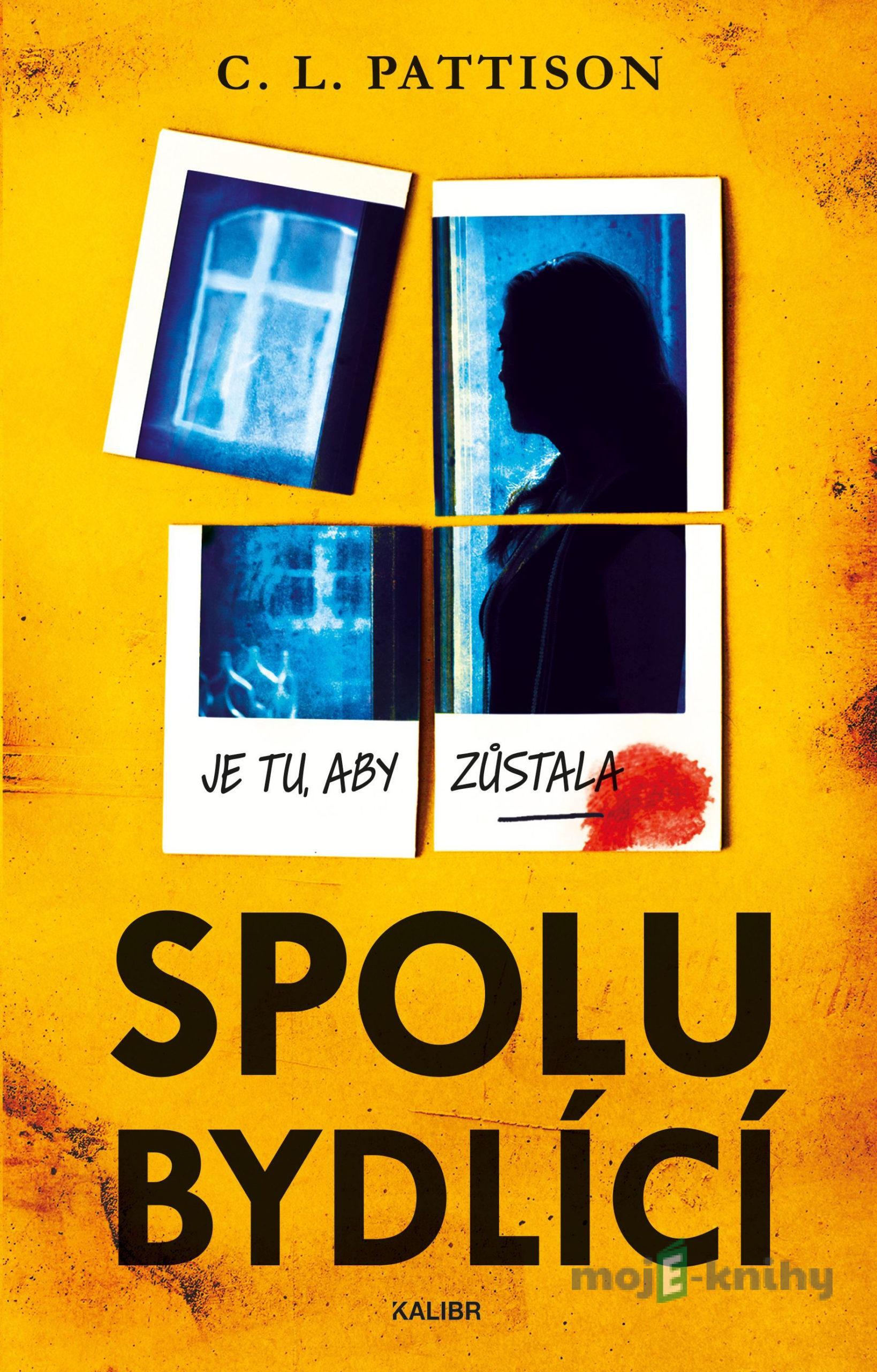 Spolubydlící - C. L. Pattison Spolubydlící - C. L. Pattison