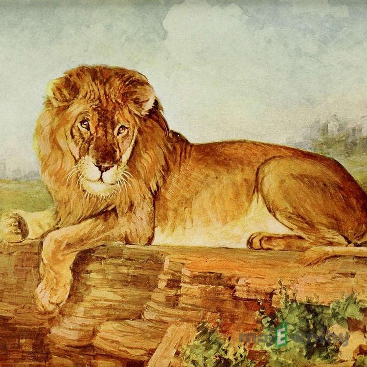 O moudrém králi - Dagmar Langová O moudrém králi - Dagmar Langová