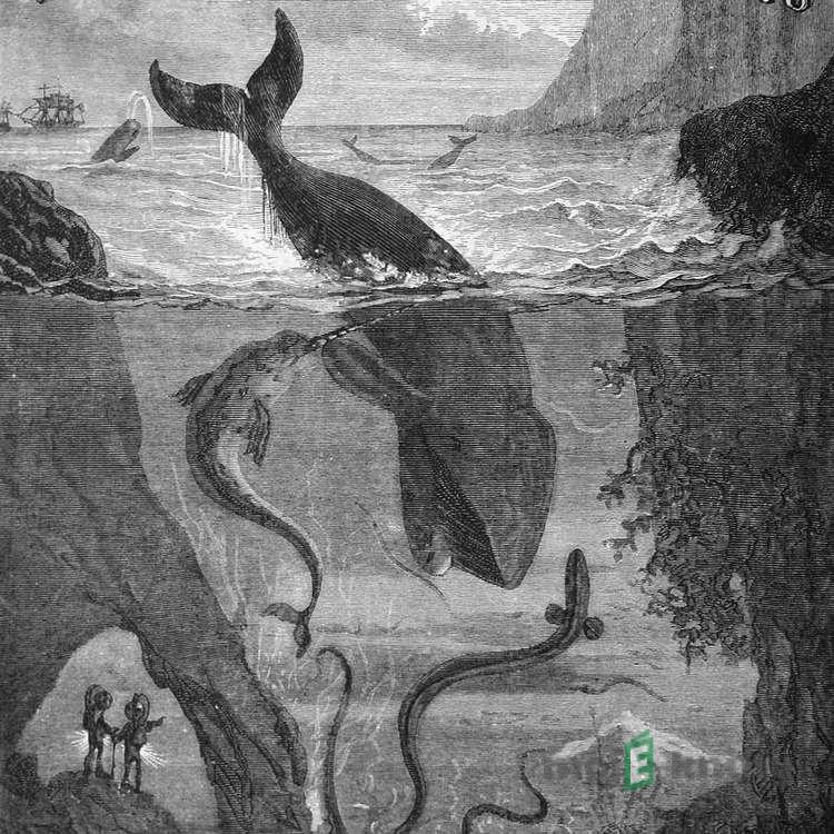 Dvacet tisíc mil pod mořem - Jules Verne Dvacet tisíc mil pod mořem - Jules Verne