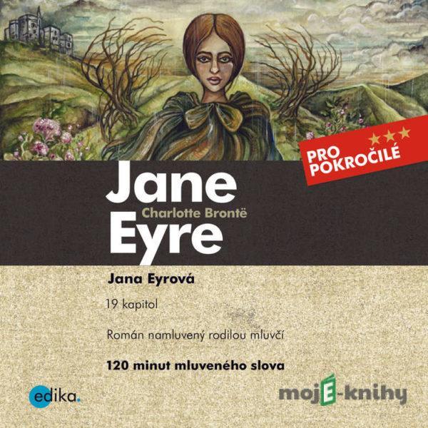 Jane Eyre (EN) - Charlotte Brontëová,Sabrina D.Harris