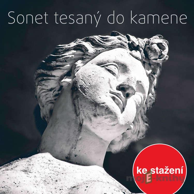 Sonet tesaný do kamene - Jan Berger Sonet tesaný do kamene - Jan Berger