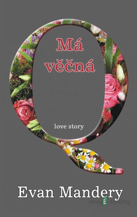 Má věčná Q - Evan Mandery Má věčná Q - Evan Mandery