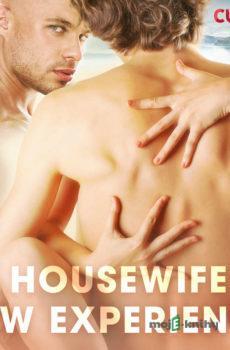 A Housewife’s New Experience (EN) - Cupido And Others