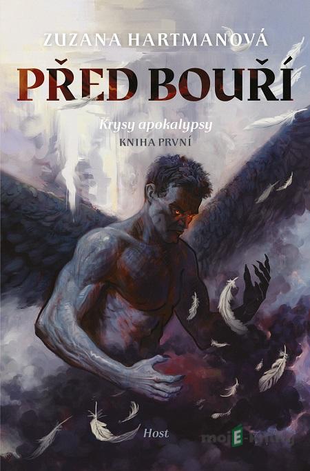 Před bouří - Zuzana Hartmanová Před bouří - Zuzana Hartmanová