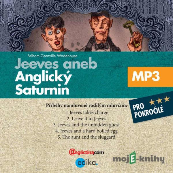 Jeeves aneb anglický Saturnin (EN) - Pelham Grenville Wodehouse