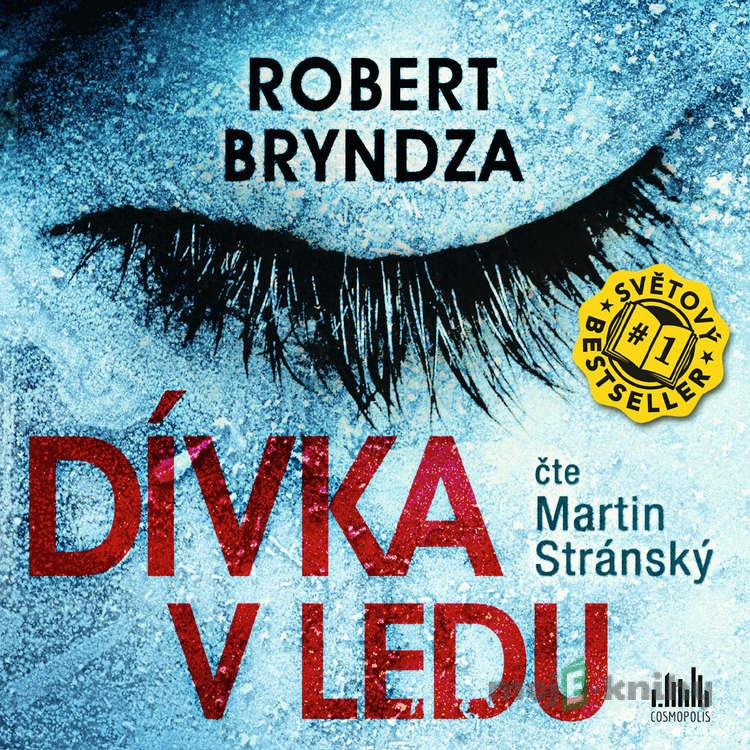 Dívka v ledu - Robert Bryndza Dívka v ledu - Robert Bryndza