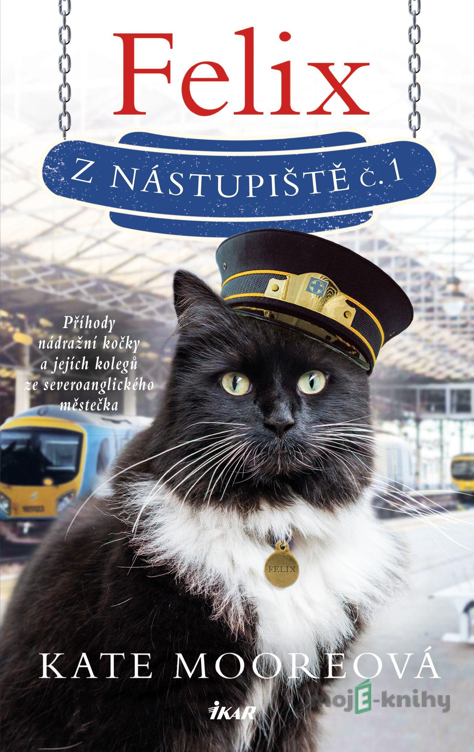 Felix z nástupiště č. 1 - Kate Moore Felix z nástupiště č. 1 - Kate Moore