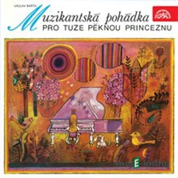 Muzikantská pohádka pro tuze pěknou princeznu - Václav Bárta