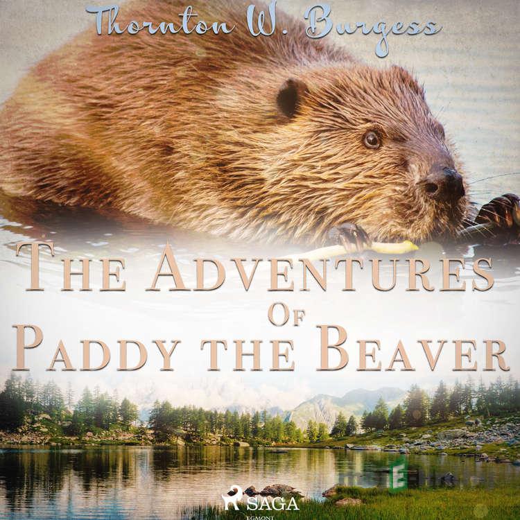 The Adventures of Paddy the Beaver (EN) - Thornton W. Burgess The Adventures of Paddy the Beaver (EN) - Thornton W. Burgess
