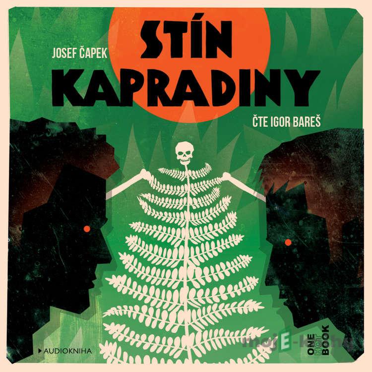 Stín kapradiny - Josef Čapek Stín kapradiny - Josef Čapek