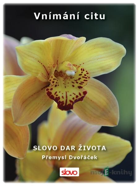 Vnímání citu - Přemysl Dvořáček Vnímání citu - Přemysl Dvořáček