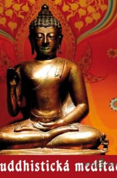 Buddhistická meditace - Roman Žižlavský