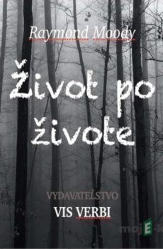 Život po živote - Raymond Moody