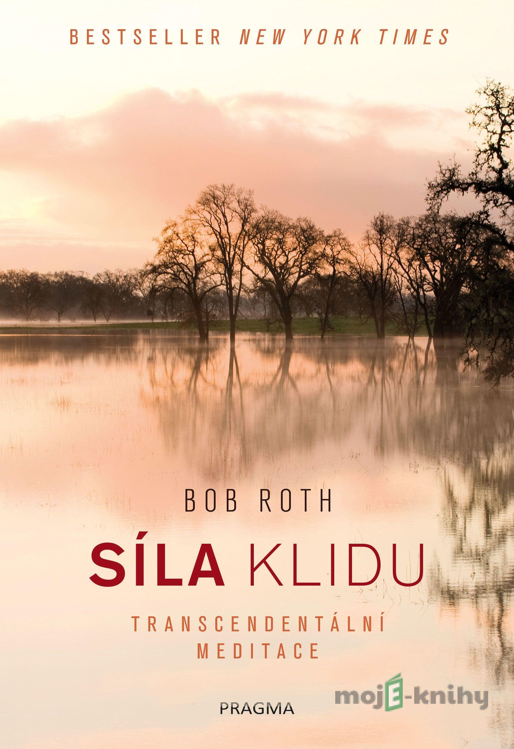 Síla klidu - Bob Roth Síla klidu - Bob Roth