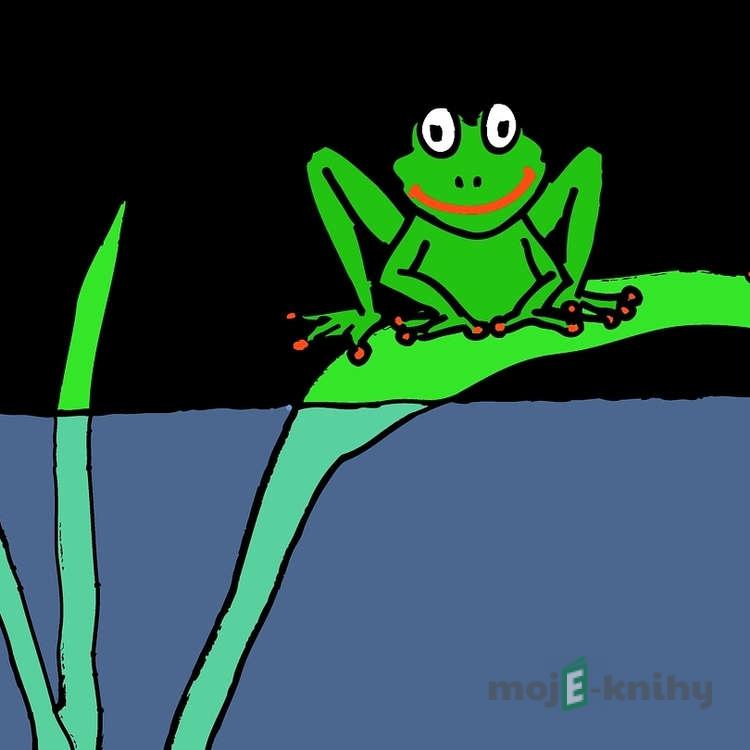 Žabákova dobrodružství - Kenneth Grahame Žabákova dobrodružství - Kenneth Grahame