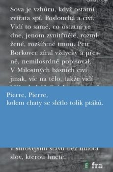 Milostné básně - Petr Borkovec