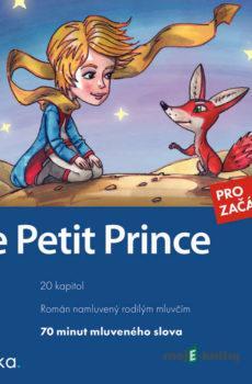 Le Petit Prince (FR) - Antoine de Saint-Exupéry,Miroslava Ševčíková