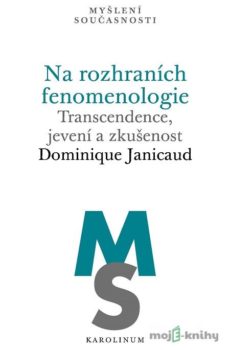 Na rozhraních fenomenologie - Dominique Janicaud