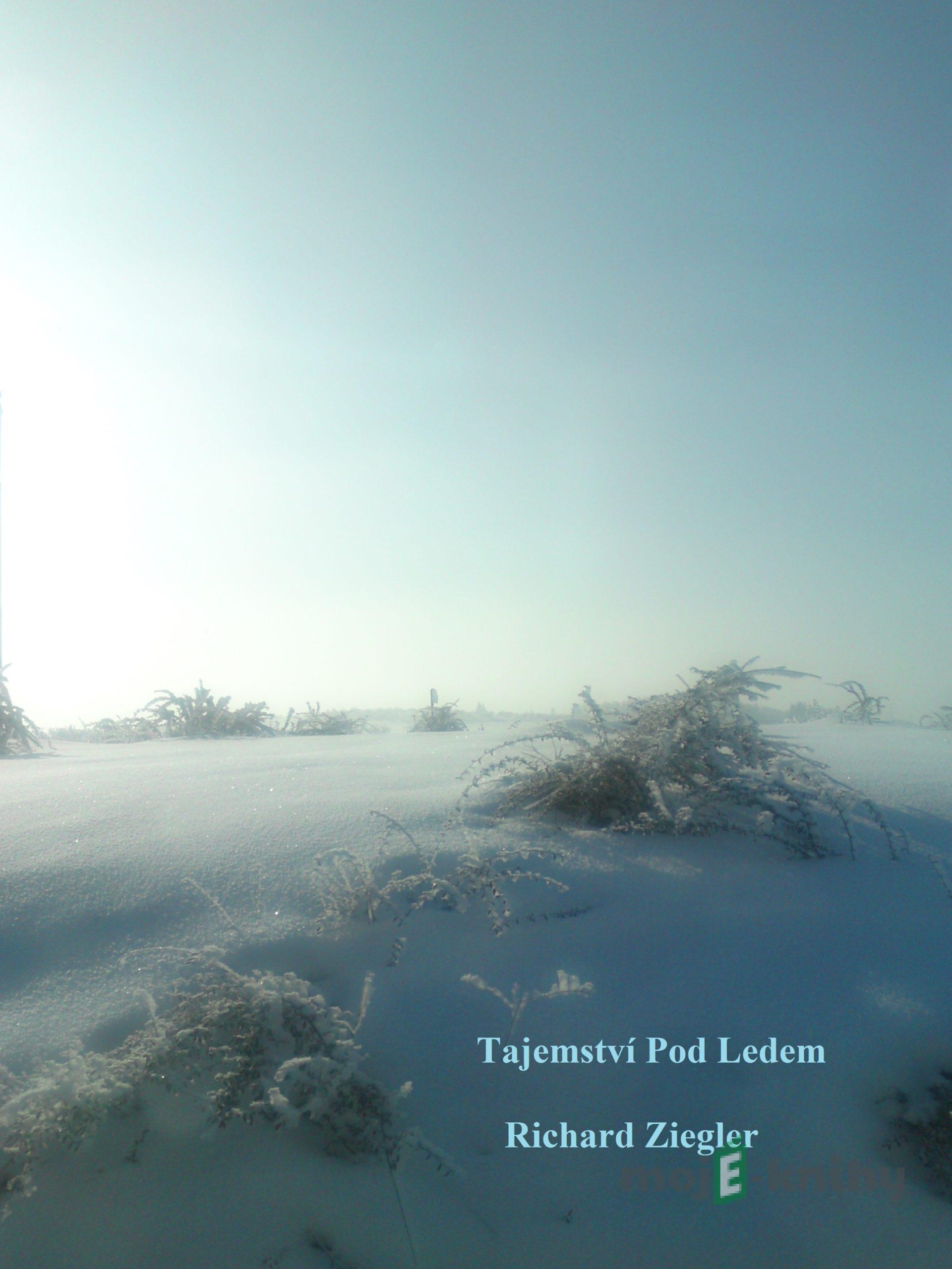Tajemství pod ledem - Richard Ziegler Tajemství pod ledem - Richard Ziegler