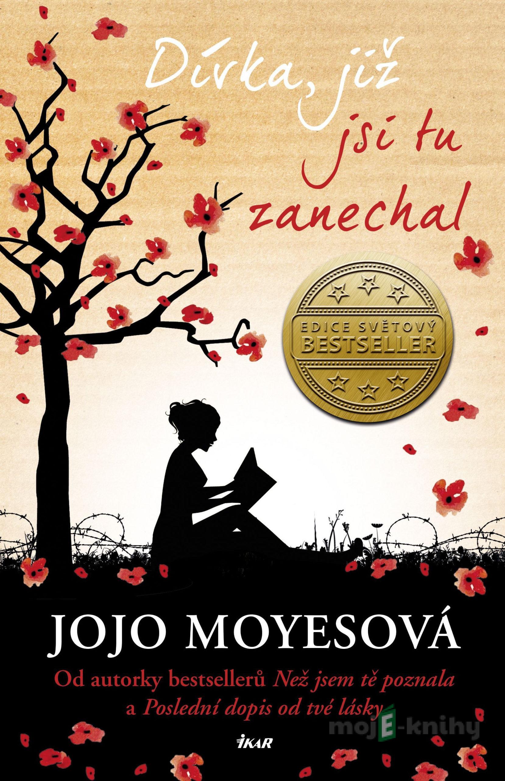 Dívka, již jsi tu zanechal - Jojo Moyes Dívka, již jsi tu zanechal - Jojo Moyes