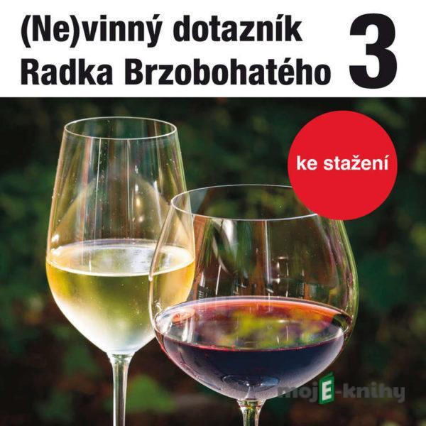 (Ne)vinný dotazník Radka Brzobohatého 3. - Radoslav Brzobohatý