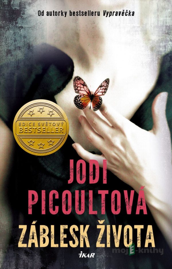 Záblesk života - Jodi Picoult