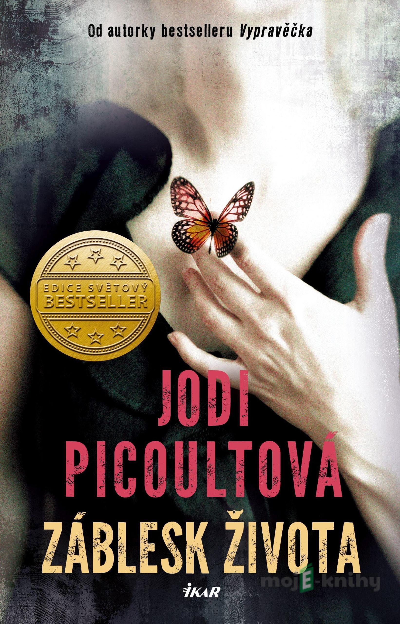 Záblesk života - Jodi Picoult Záblesk života - Jodi Picoult