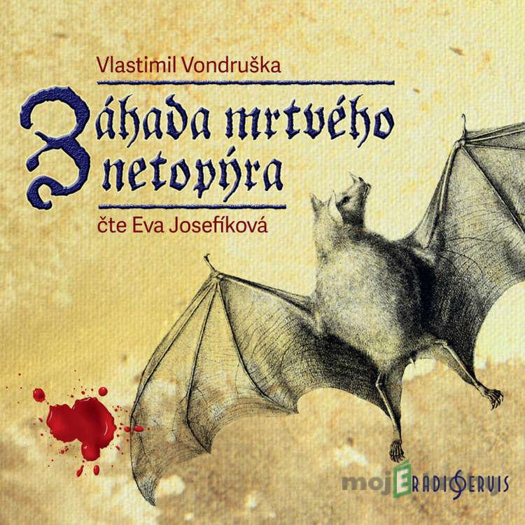 Záhada mrtvého netopýra - Vlastimil Vondruška Záhada mrtvého netopýra - Vlastimil Vondruška