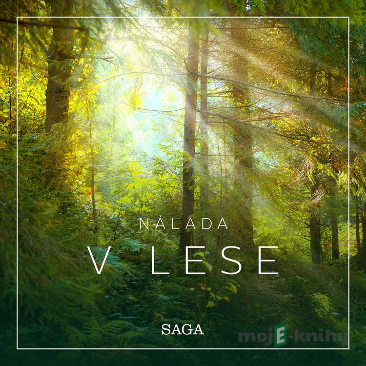 Nálada – V lese - Rasmus Broe Nálada – V lese - Rasmus Broe