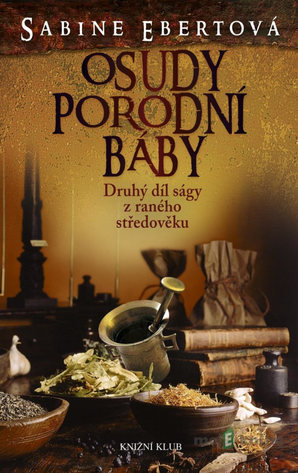 Osudy porodní báby - Sabine Ebert