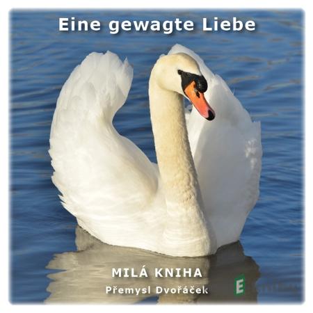 Eine gewagte Liebe - Přemysl Dvořáček Eine gewagte Liebe - Přemysl Dvořáček