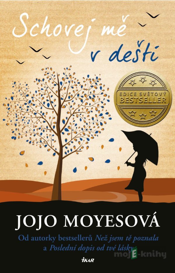 Schovej mě v dešti - Jojo Moyes