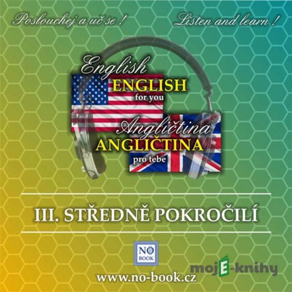 Angličtina pro tebe 3 - středně pokročilí - Richard Ludvík