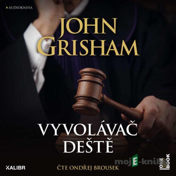 Vyvolávač deště - John Grisham