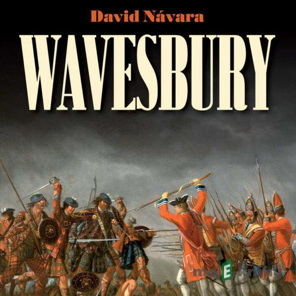 Wavesbury - David Návara