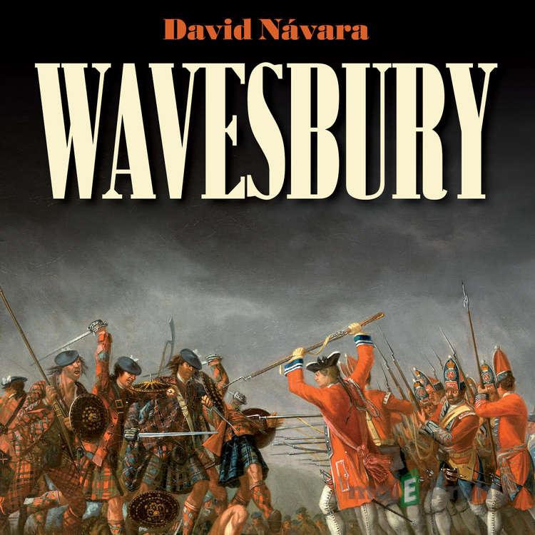 Wavesbury - David Návara Wavesbury - David Návara