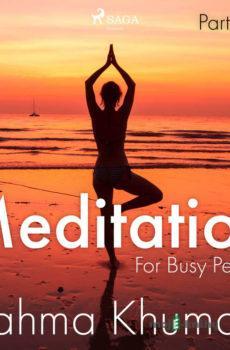 Meditation For Busy People – Part Three (EN) - Brahma Khumaris