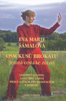 Osm kusů brokátu - Eva Marie Šámalová