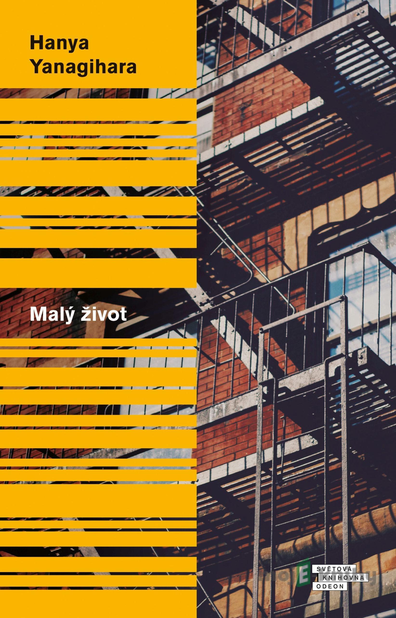 Malý život - Hanya Yanagihara Malý život - Hanya Yanagihara