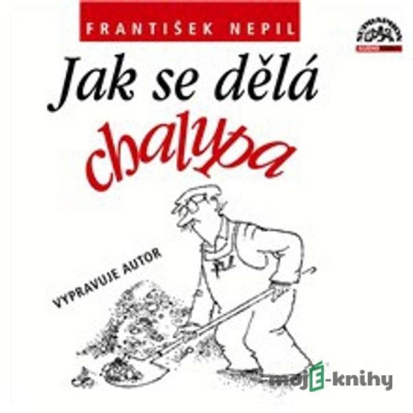 Jak se dělá chalupa - František Nepil