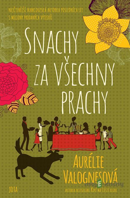 Snachy za všechny prachy - Aurélie Valognes Snachy za všechny prachy - Aurélie Valognes