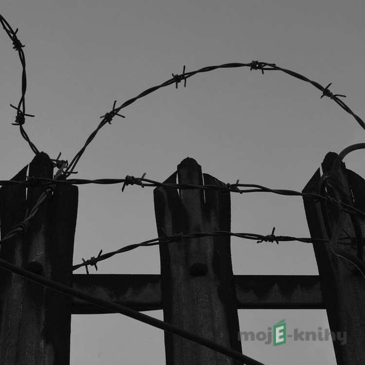 Štěstí - Jiří Stránský Štěstí - Jiří Stránský