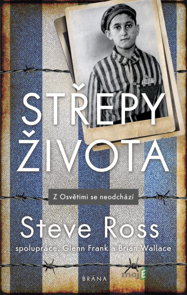 Střepy života - Glenn Frank, Brian Wallace, Steve Ross