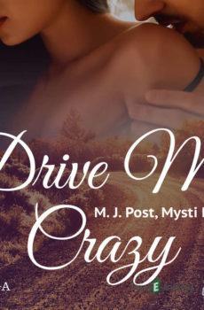 Drive Me Crazy (EN) - Mysti Parker,M. J. Post