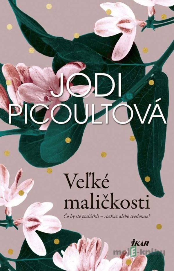 Veľké maličkosti - Jodi Picoult