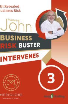 Business Risk Buster Intervenes 3 - Vladimír John