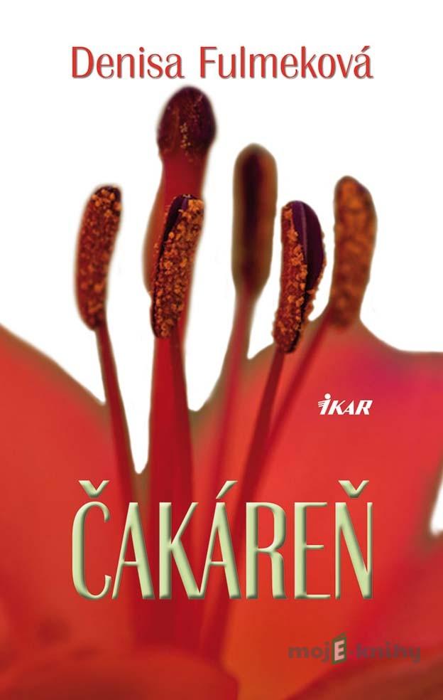 Čakáreň - Denisa Fulmeková Čakáreň - Denisa Fulmeková