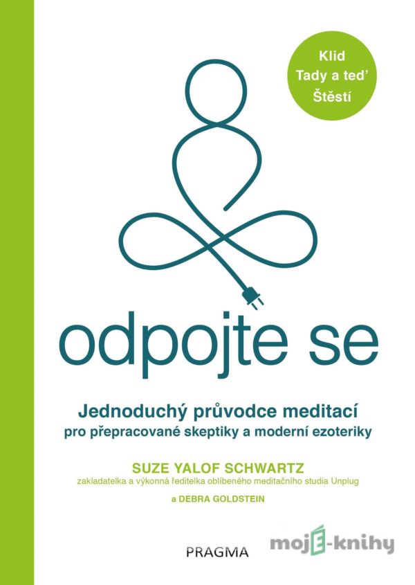 Odpojte se - Suze Yalof Schwartz