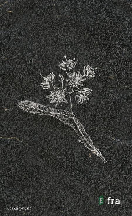 Herbář k čemusi horšímu - Petr Borkovec Herbář k čemusi horšímu - Petr Borkovec